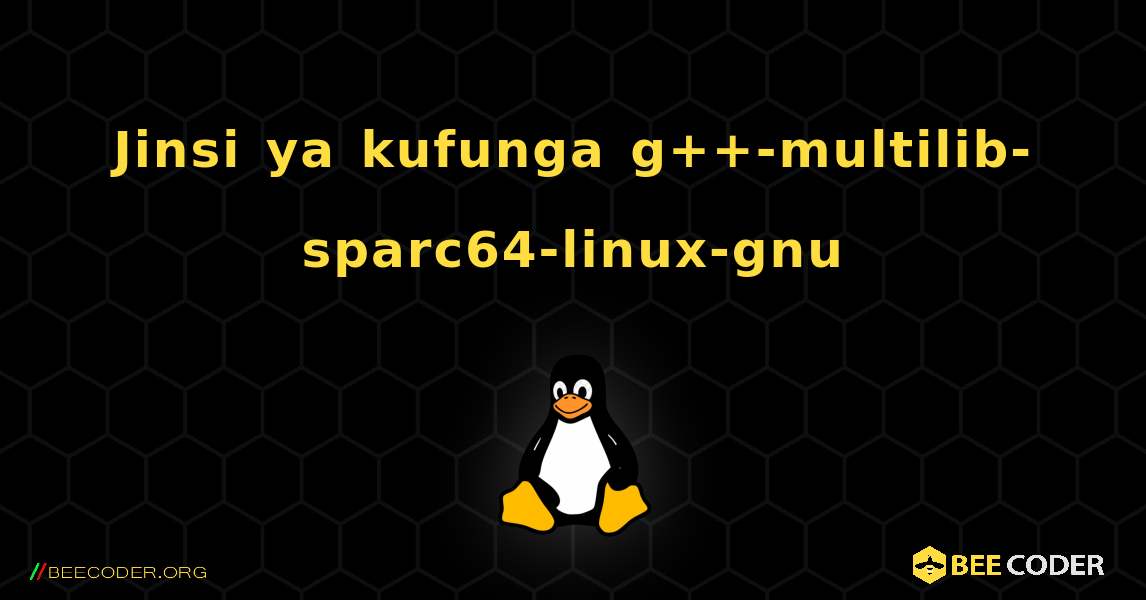 Jinsi ya kufunga g++-multilib-sparc64-linux-gnu . Linux