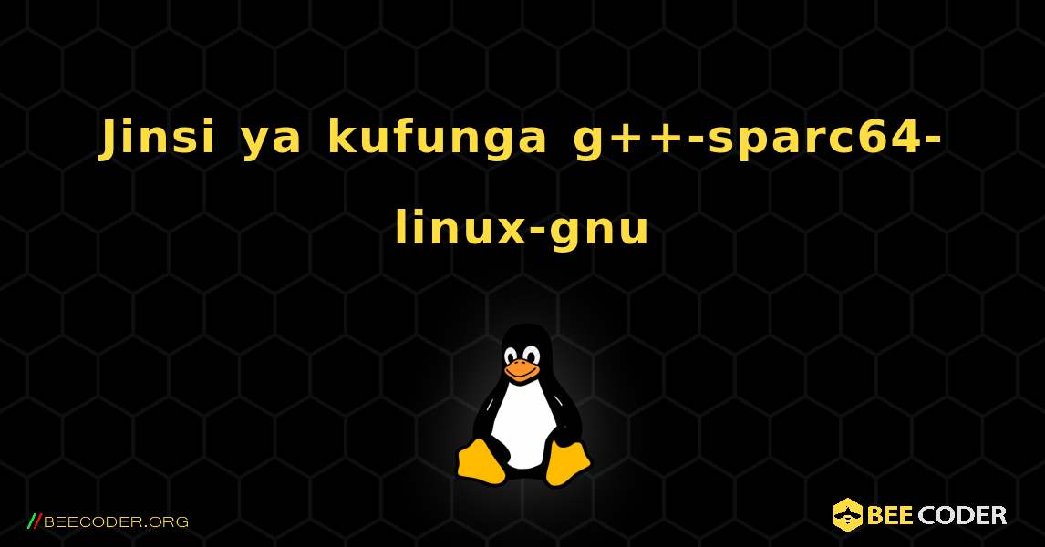 Jinsi ya kufunga g++-sparc64-linux-gnu . Linux