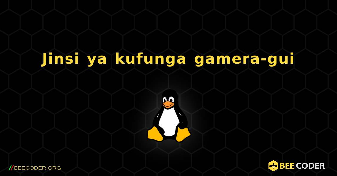Jinsi ya kufunga gamera-gui . Linux