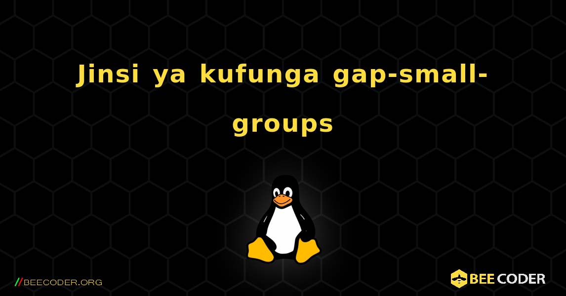 Jinsi ya kufunga gap-small-groups . Linux