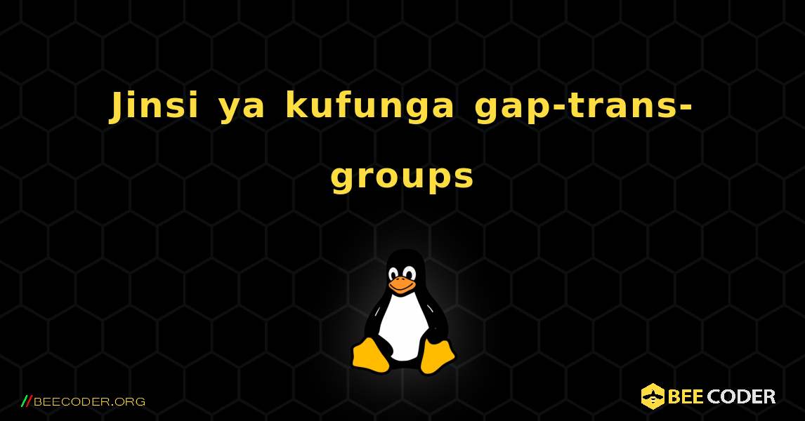 Jinsi ya kufunga gap-trans-groups . Linux