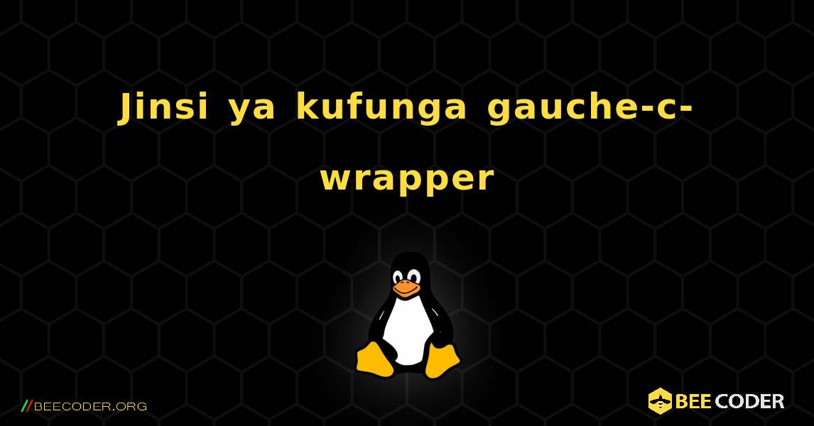 Jinsi ya kufunga gauche-c-wrapper . Linux
