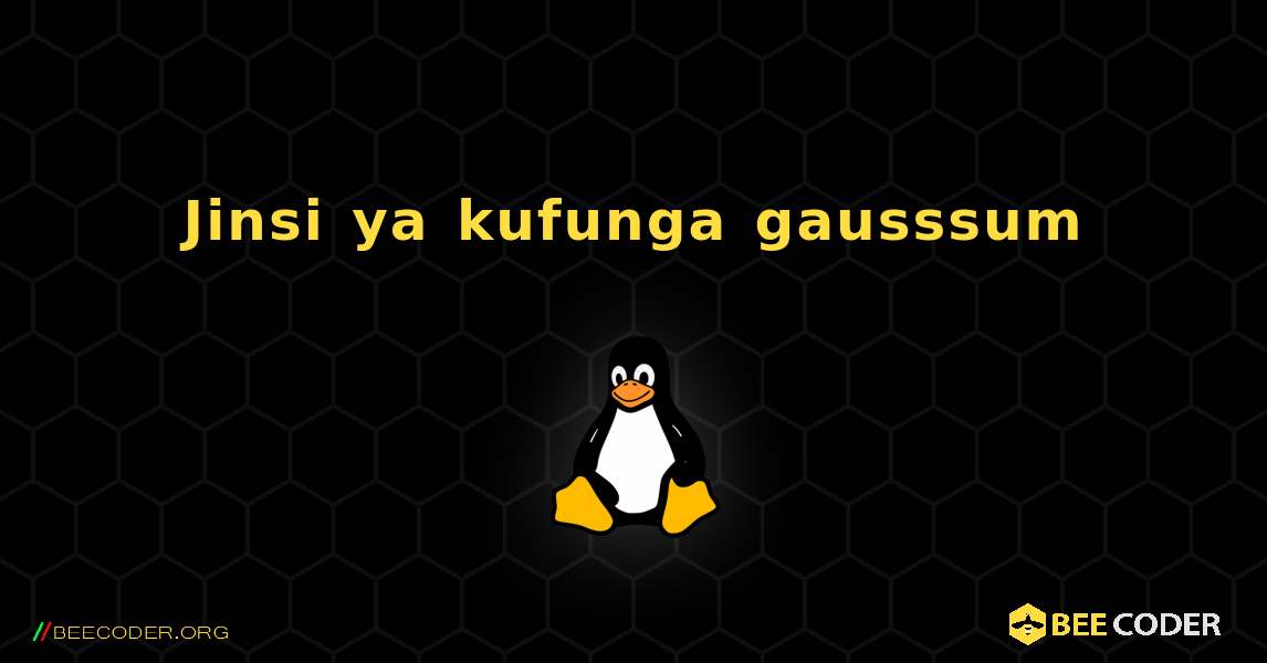 Jinsi ya kufunga gausssum . Linux
