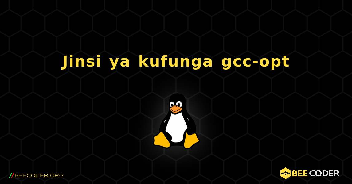 Jinsi ya kufunga gcc-opt . Linux