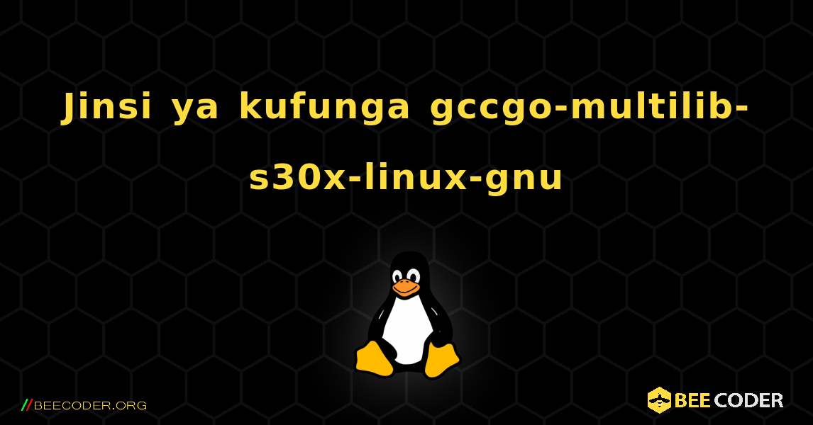 Jinsi ya kufunga gccgo-multilib-s30x-linux-gnu . Linux