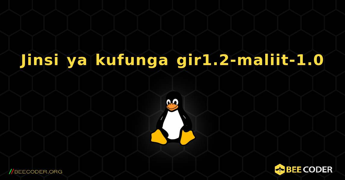 Jinsi ya kufunga gir1.2-maliit-1.0 . Linux