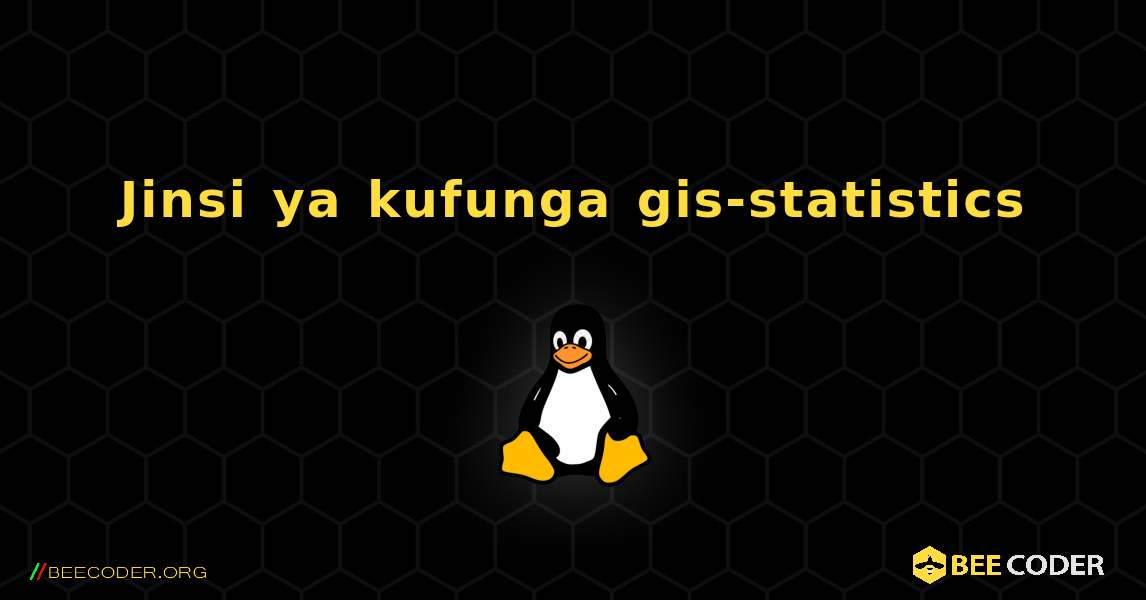 Jinsi ya kufunga gis-statistics . Linux
