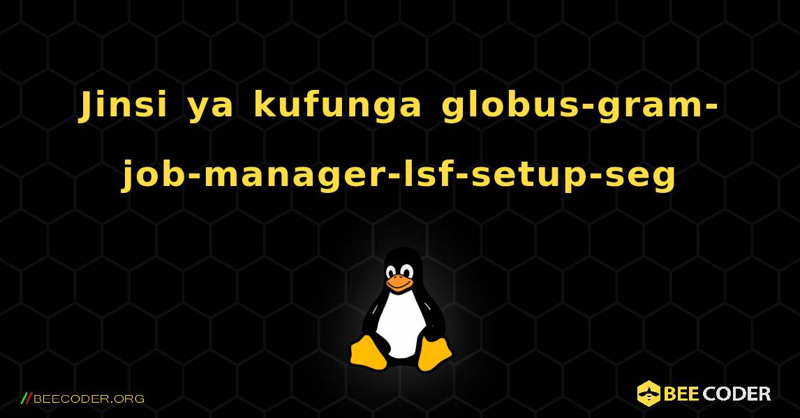 Jinsi ya kufunga globus-gram-job-manager-lsf-setup-seg . Linux