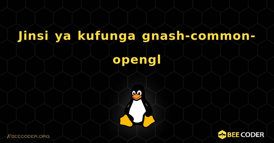 Jinsi ya kufunga gnash-common-opengl . Linux