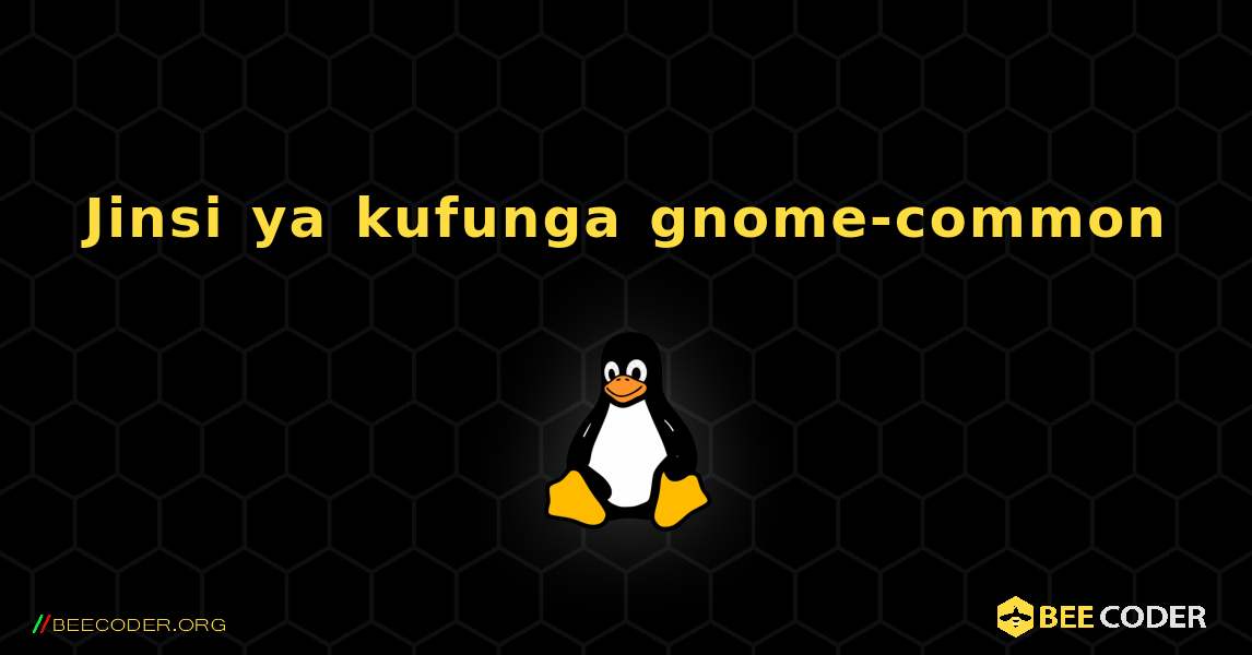 Jinsi ya kufunga gnome-common . Linux