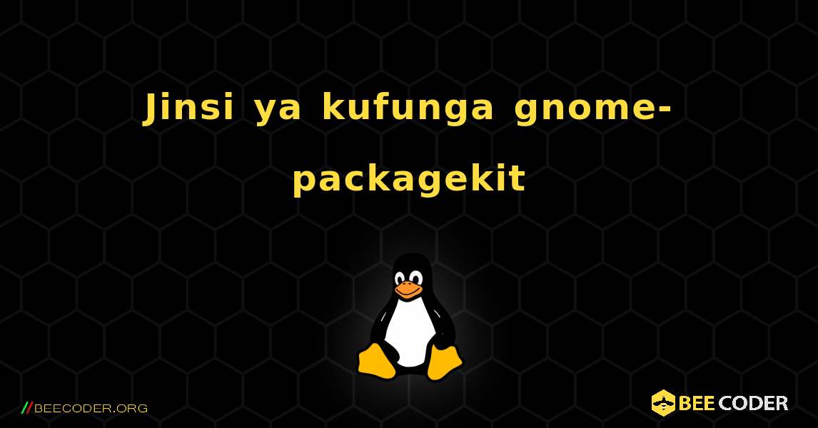 Jinsi ya kufunga gnome-packagekit . Linux