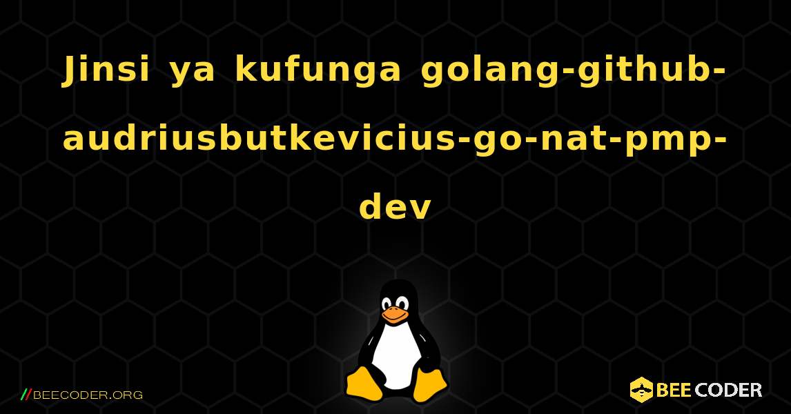 Jinsi ya kufunga golang-github-audriusbutkevicius-go-nat-pmp-dev . Linux