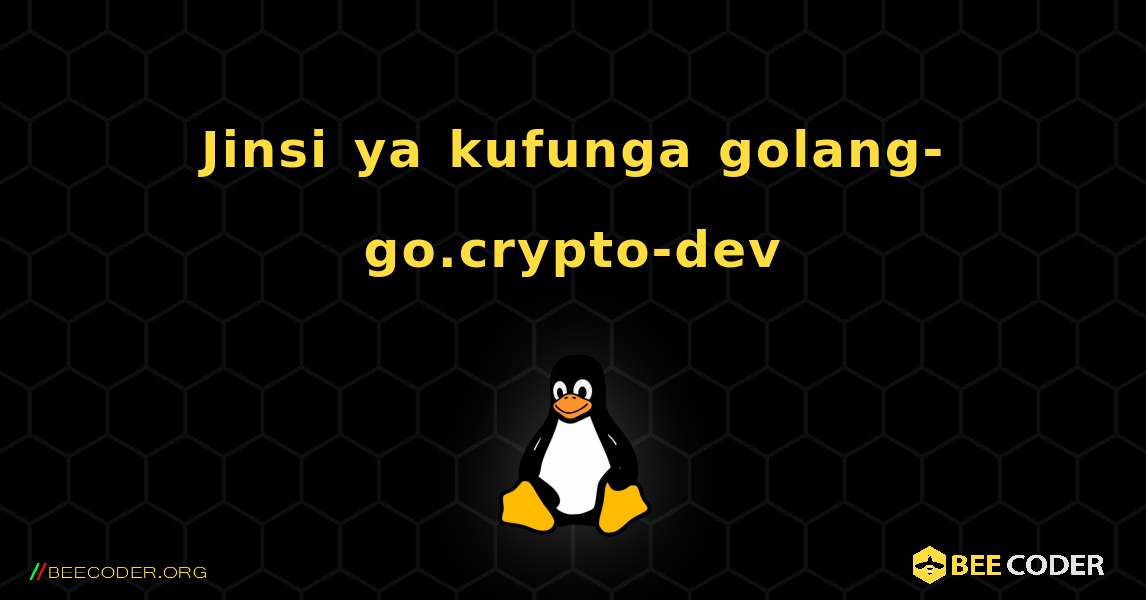 Jinsi ya kufunga golang-go.crypto-dev . Linux