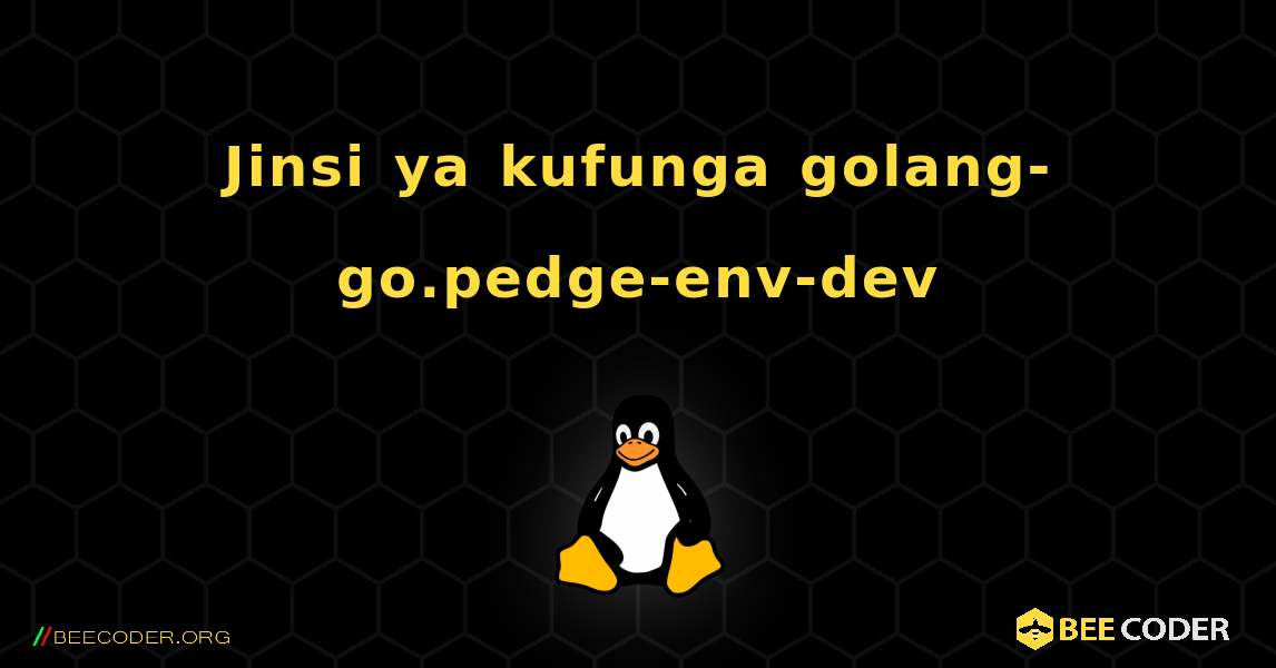 Jinsi ya kufunga golang-go.pedge-env-dev . Linux