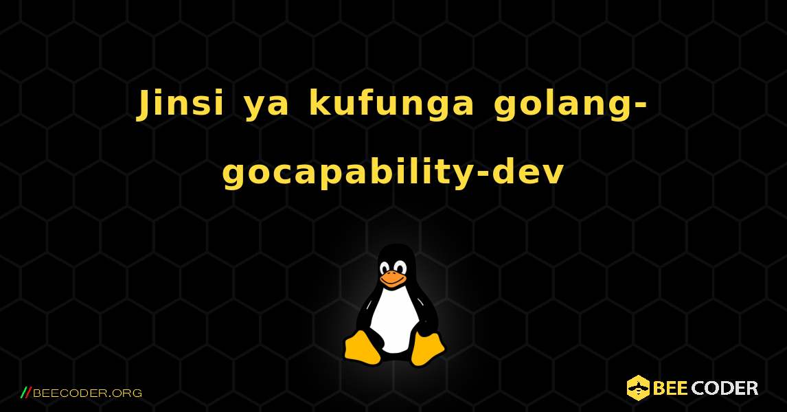 Jinsi ya kufunga golang-gocapability-dev . Linux