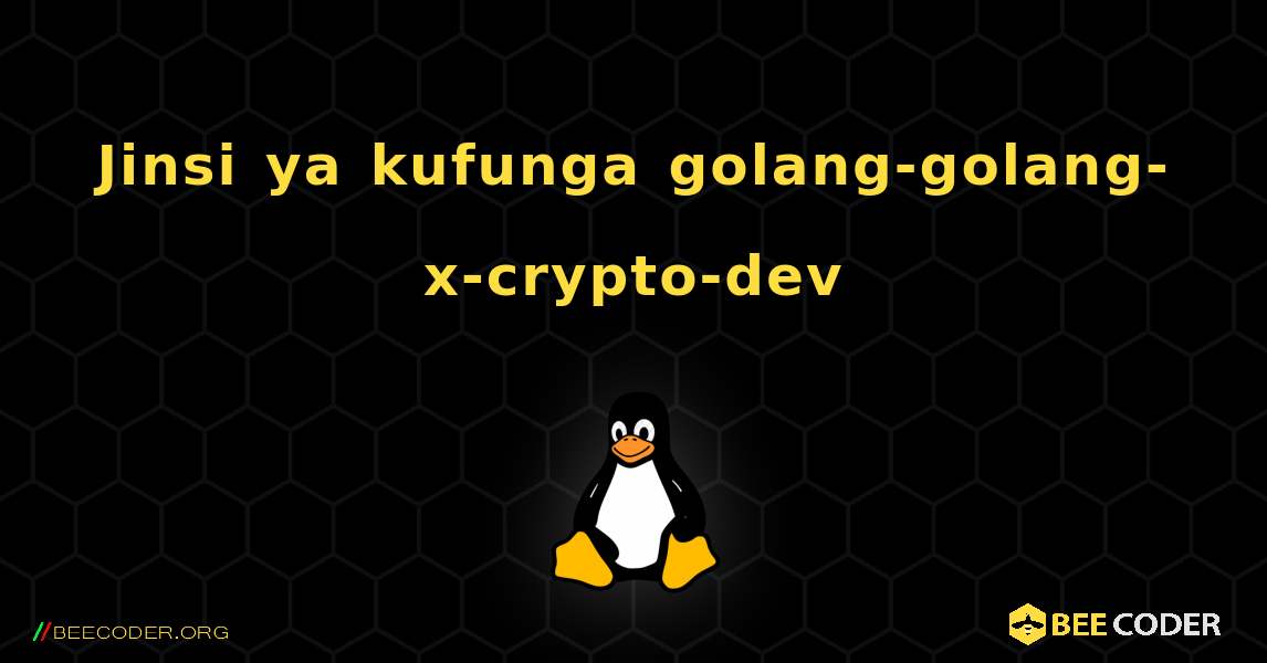 Jinsi ya kufunga golang-golang-x-crypto-dev . Linux