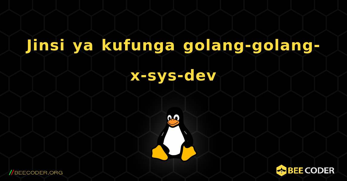 Jinsi ya kufunga golang-golang-x-sys-dev . Linux