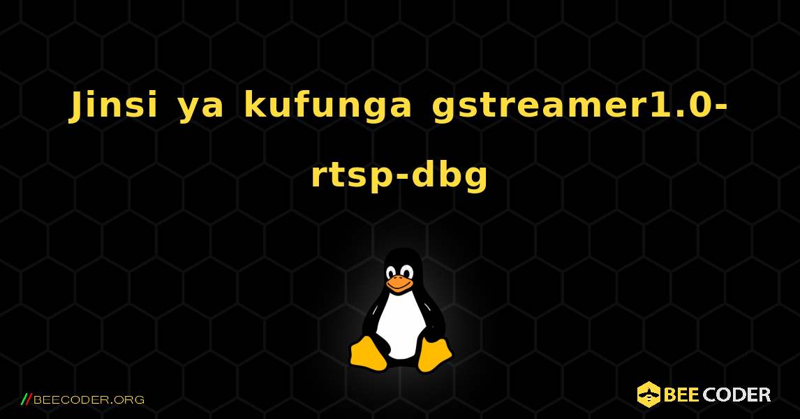Jinsi ya kufunga gstreamer1.0-rtsp-dbg . Linux