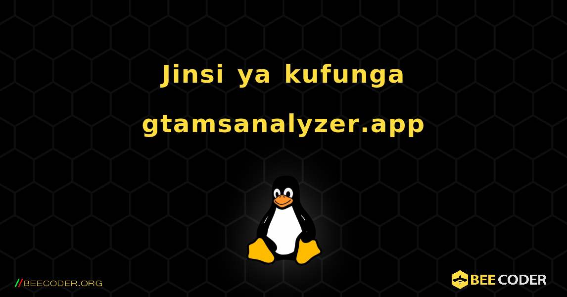 Jinsi ya kufunga gtamsanalyzer.app . Linux