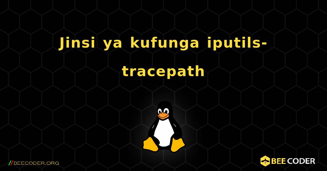Jinsi ya kufunga iputils-tracepath . Linux