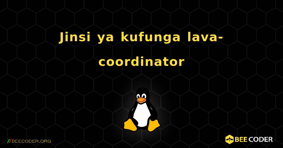 Jinsi ya kufunga lava-coordinator . Linux