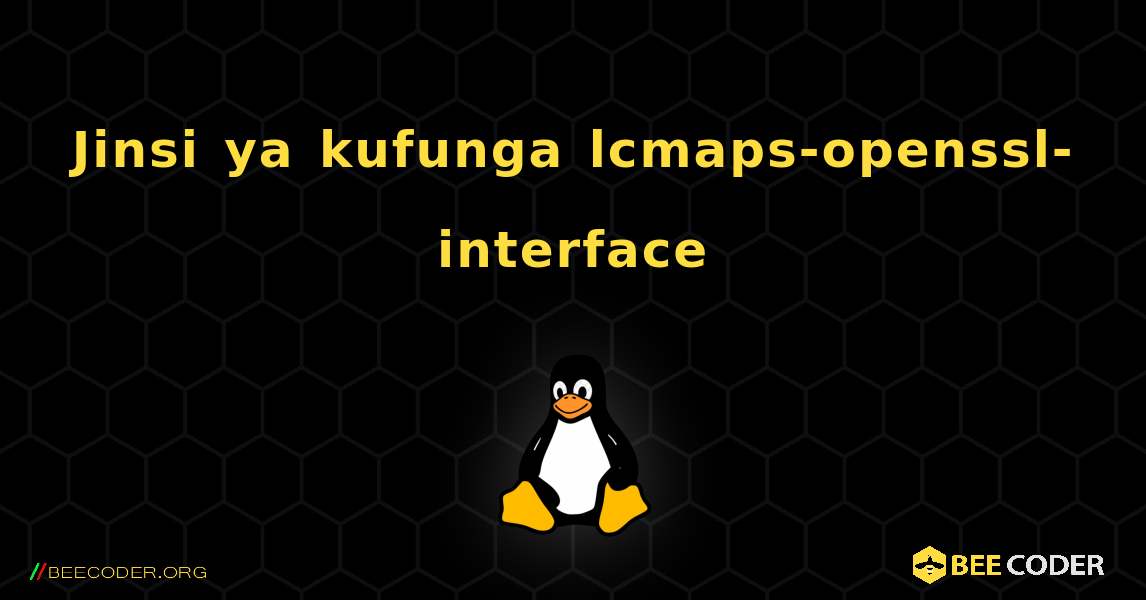 Jinsi ya kufunga lcmaps-openssl-interface . Linux