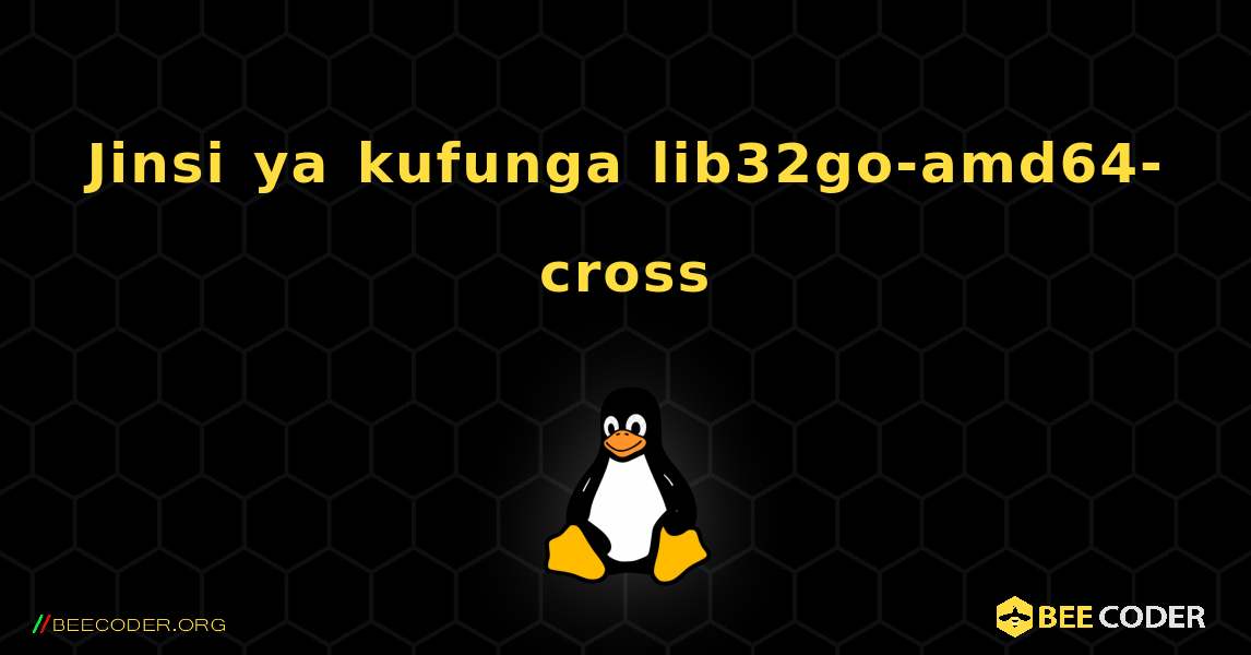 Jinsi ya kufunga lib32go-amd64-cross . Linux