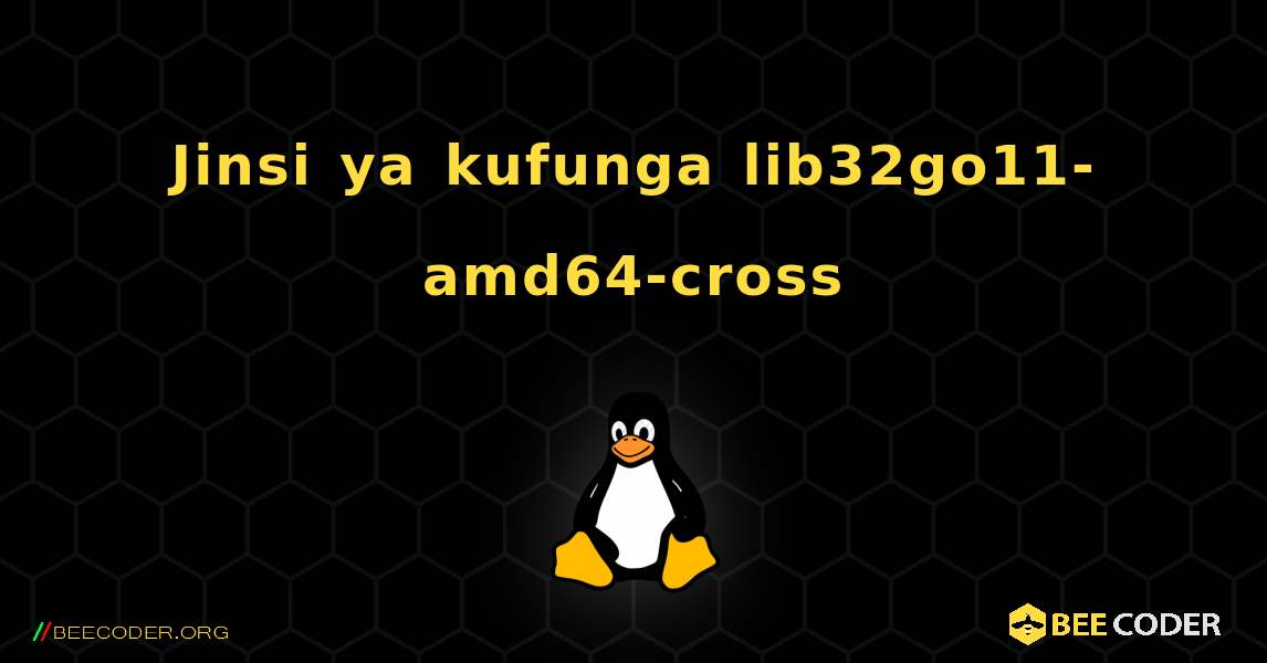 Jinsi ya kufunga lib32go11-amd64-cross . Linux