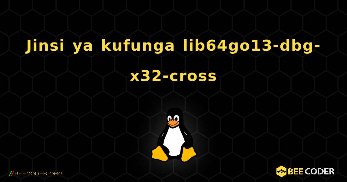 Jinsi ya kufunga lib64go13-dbg-x32-cross . Linux
