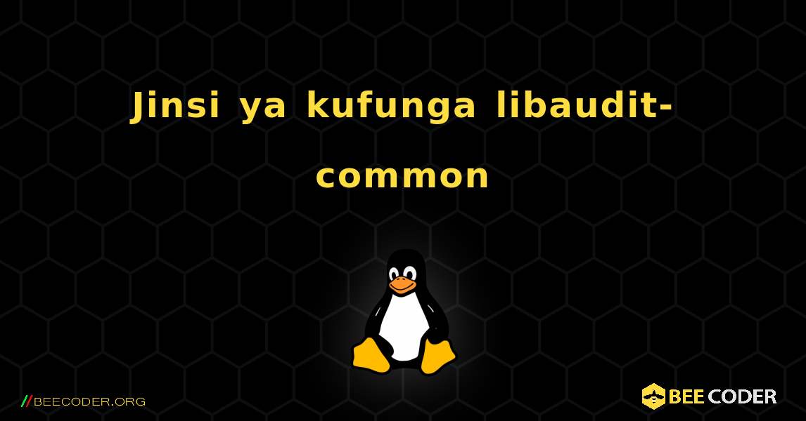 Jinsi ya kufunga libaudit-common . Linux