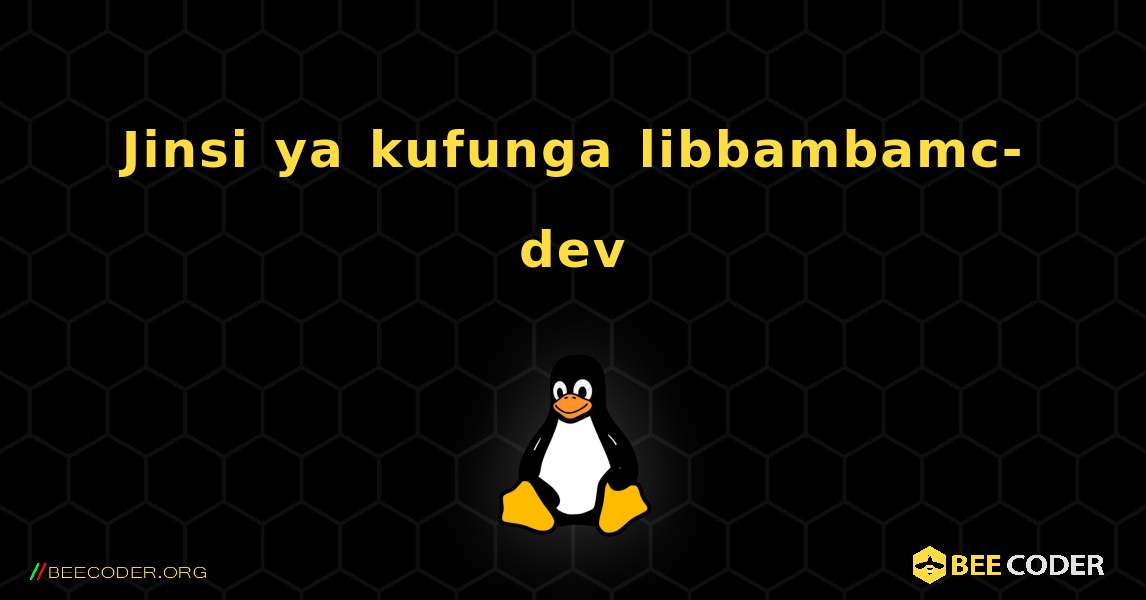 Jinsi ya kufunga libbambamc-dev . Linux