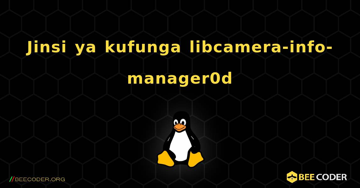 Jinsi ya kufunga libcamera-info-manager0d . Linux