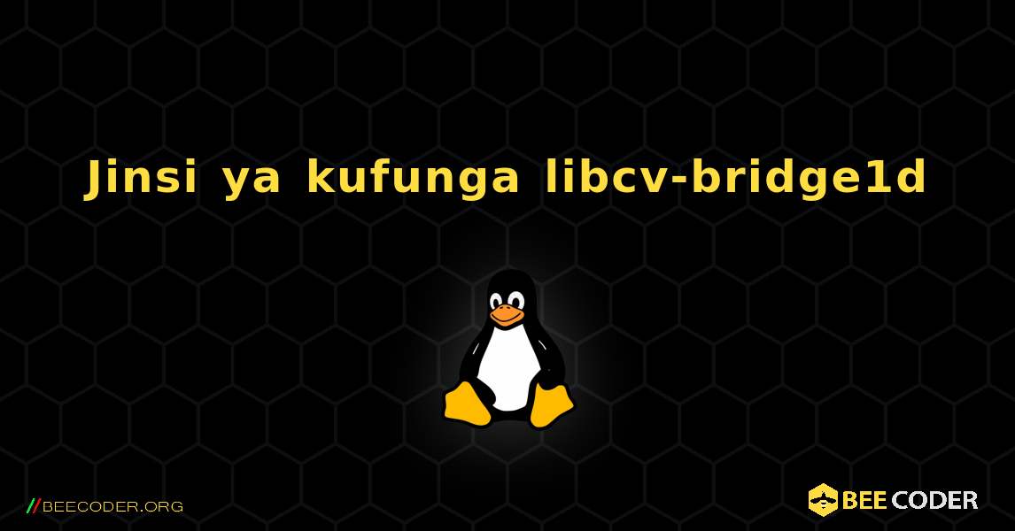 Jinsi ya kufunga libcv-bridge1d . Linux