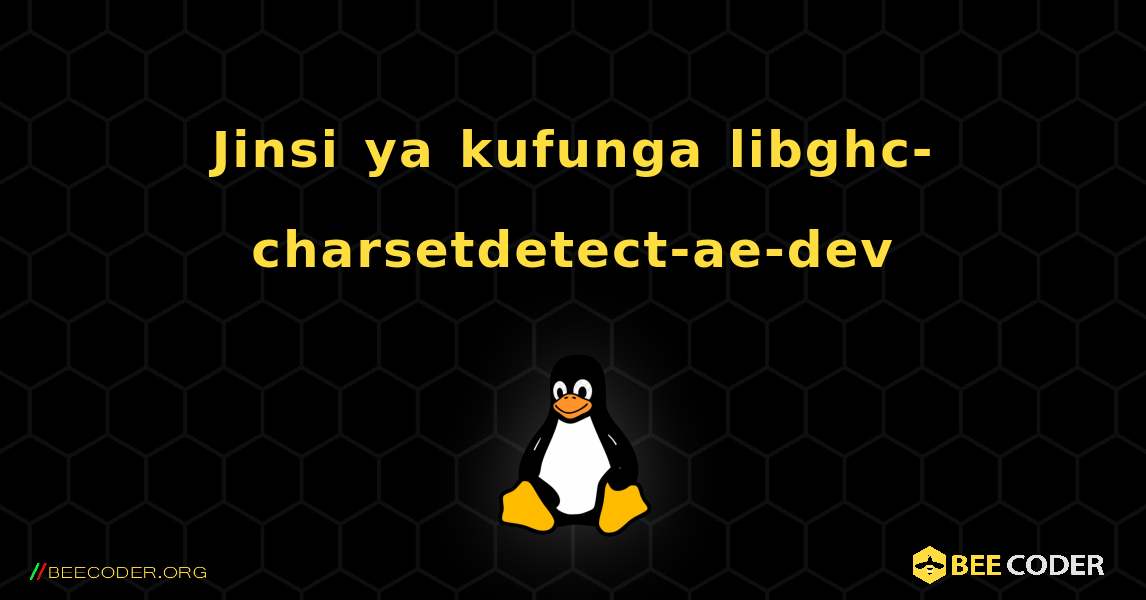 Jinsi ya kufunga libghc-charsetdetect-ae-dev . Linux