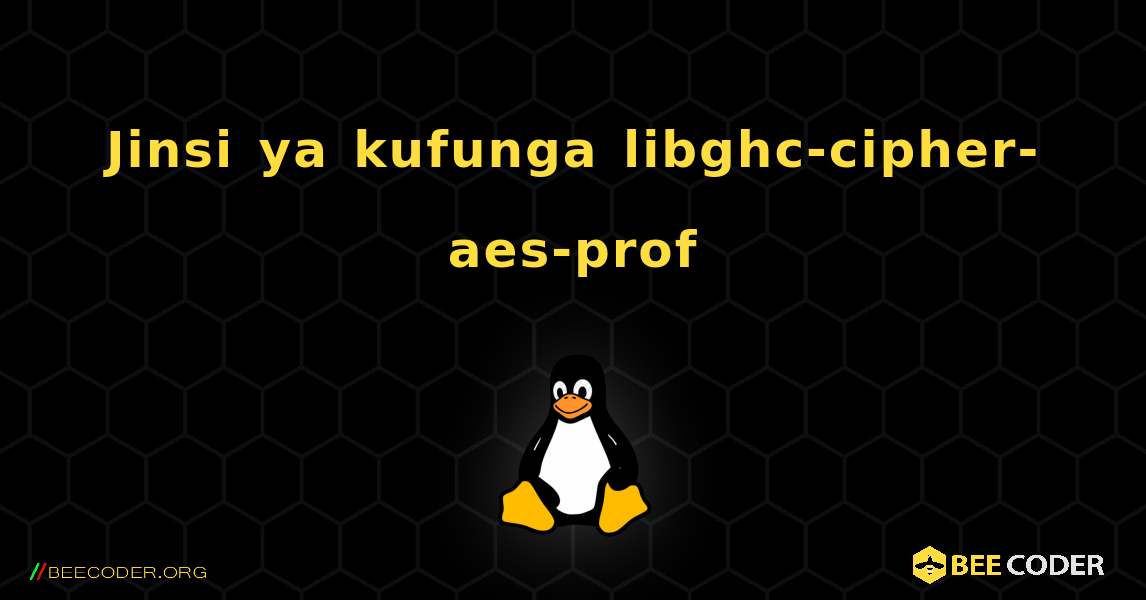Jinsi ya kufunga libghc-cipher-aes-prof . Linux
