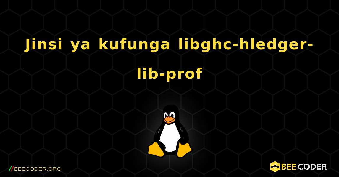 Jinsi ya kufunga libghc-hledger-lib-prof . Linux