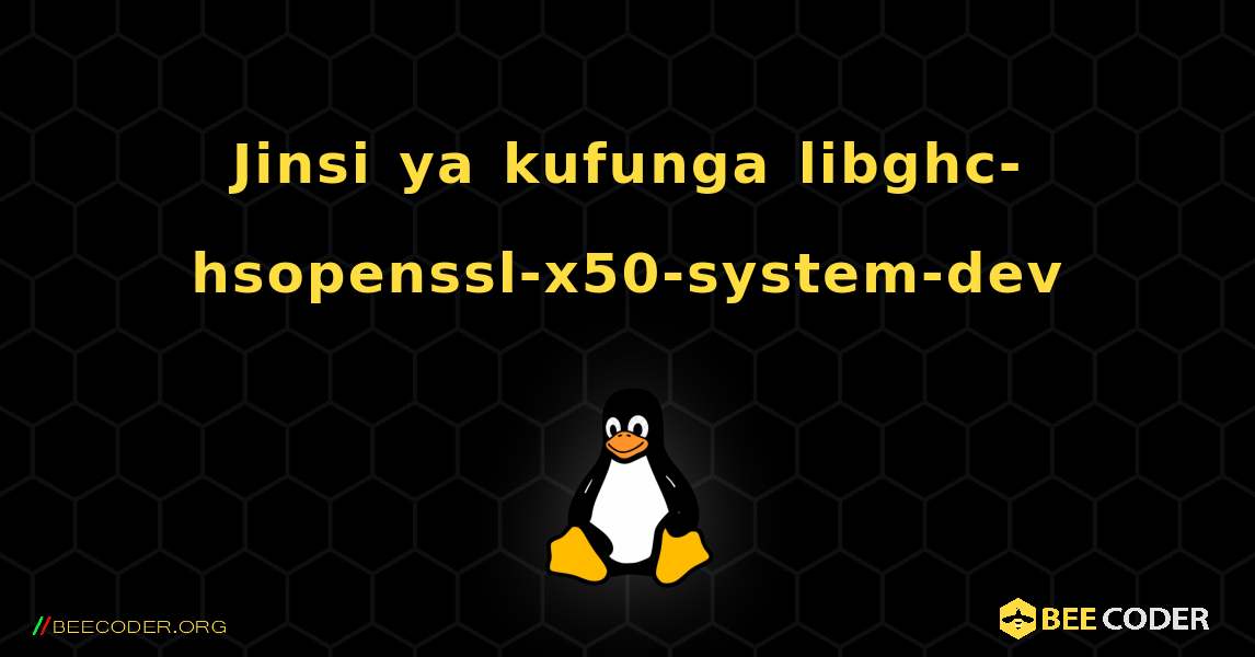 Jinsi ya kufunga libghc-hsopenssl-x50-system-dev . Linux