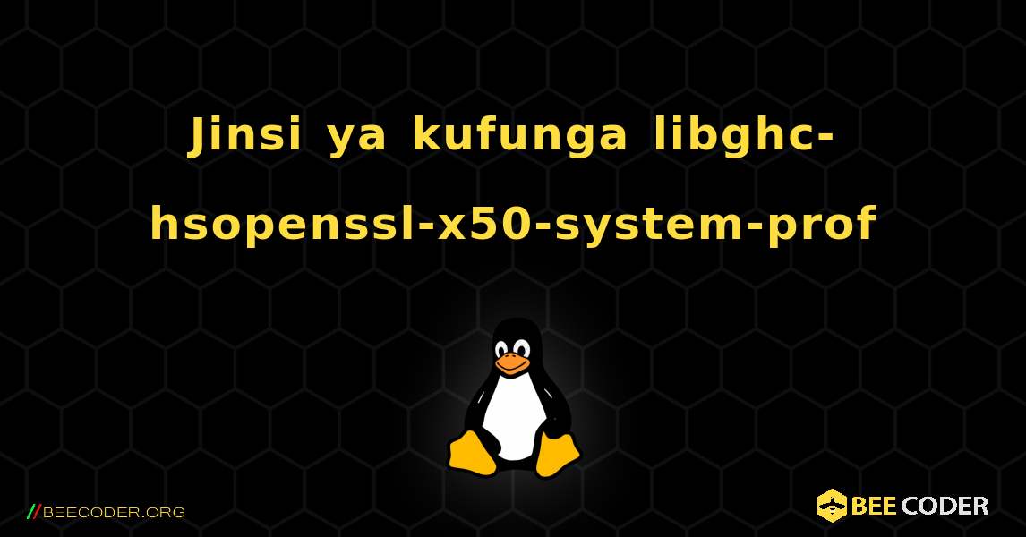 Jinsi ya kufunga libghc-hsopenssl-x50-system-prof . Linux