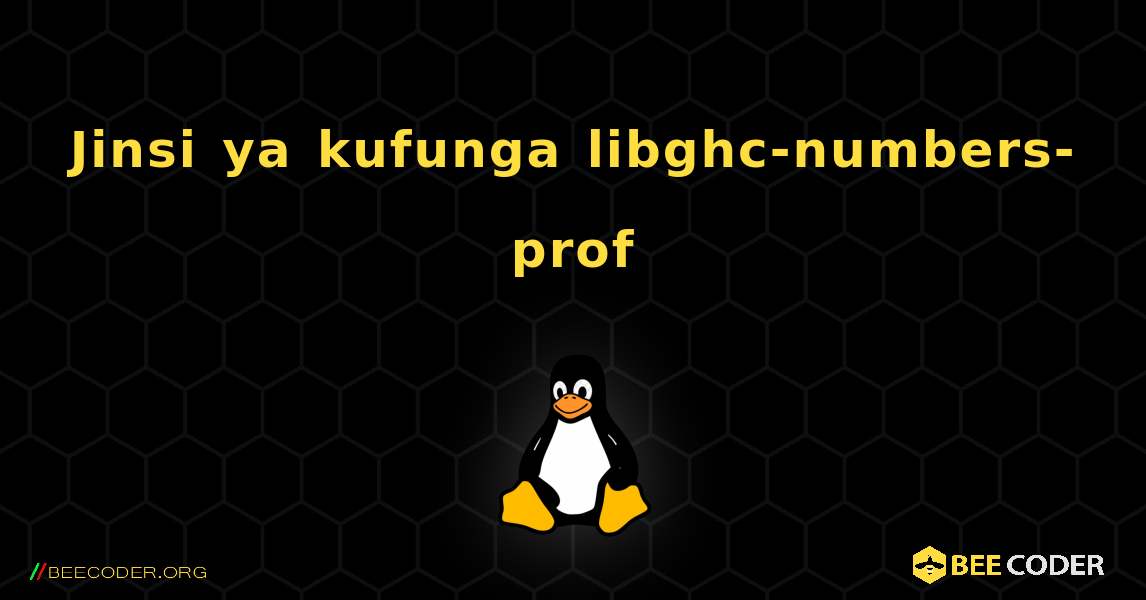 Jinsi ya kufunga libghc-numbers-prof . Linux