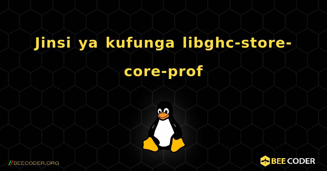 Jinsi ya kufunga libghc-store-core-prof . Linux