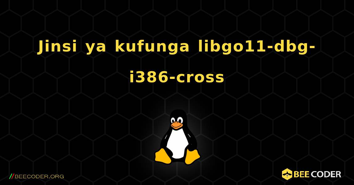 Jinsi ya kufunga libgo11-dbg-i386-cross . Linux