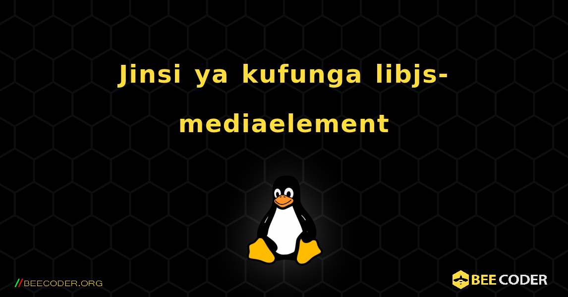 Jinsi ya kufunga libjs-mediaelement . Linux
