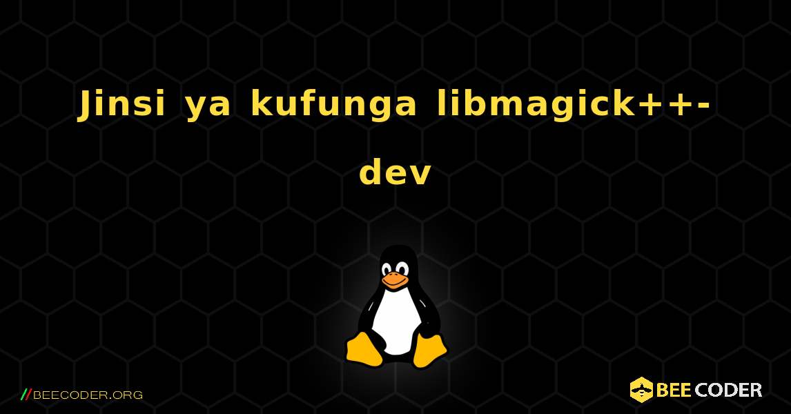 Jinsi ya kufunga libmagick++-dev . Linux