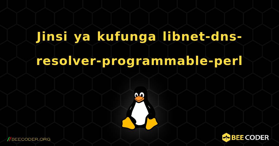 Jinsi ya kufunga libnet-dns-resolver-programmable-perl . Linux