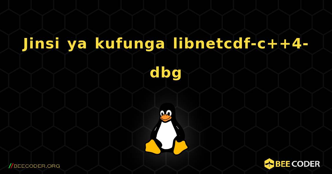 Jinsi ya kufunga libnetcdf-c++4-dbg . Linux