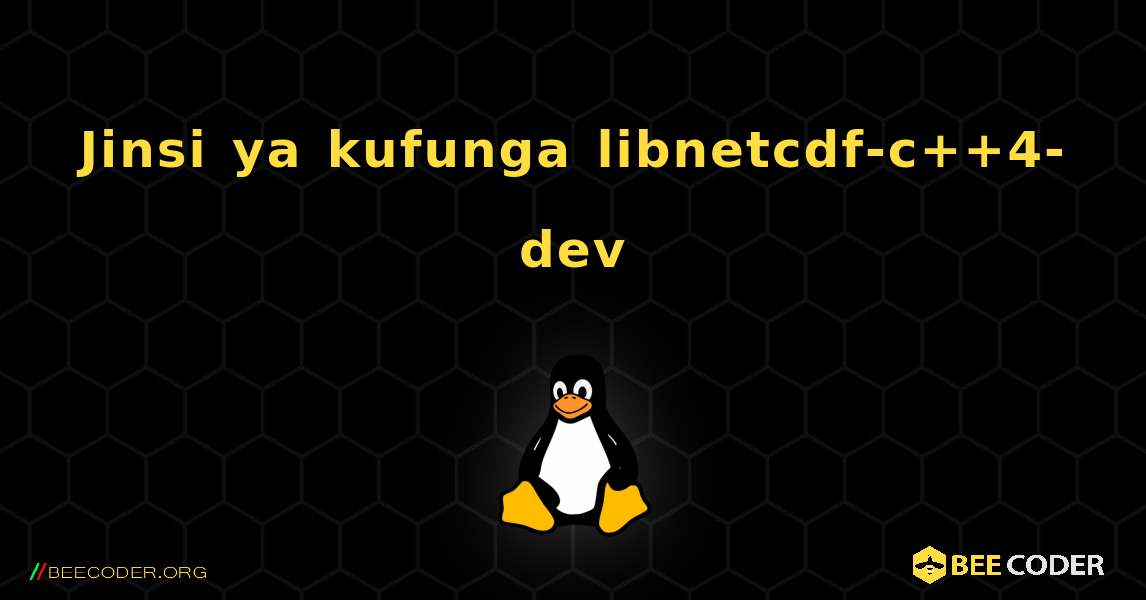 Jinsi ya kufunga libnetcdf-c++4-dev . Linux