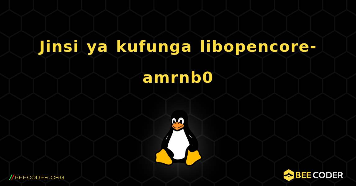 Jinsi ya kufunga libopencore-amrnb0 . Linux