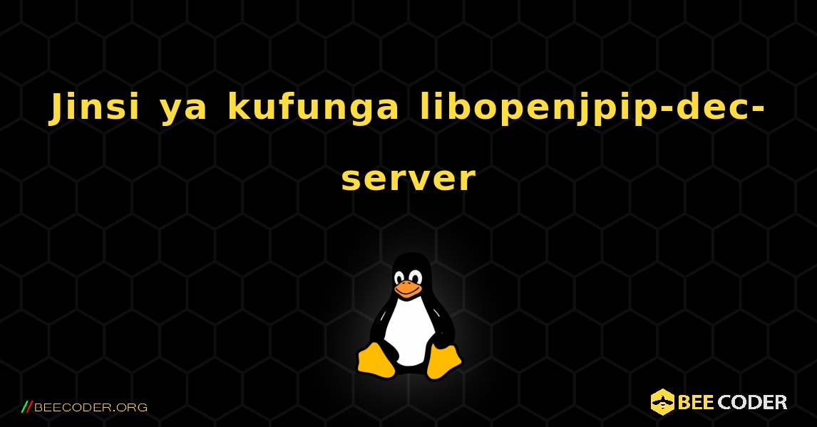 Jinsi ya kufunga libopenjpip-dec-server . Linux