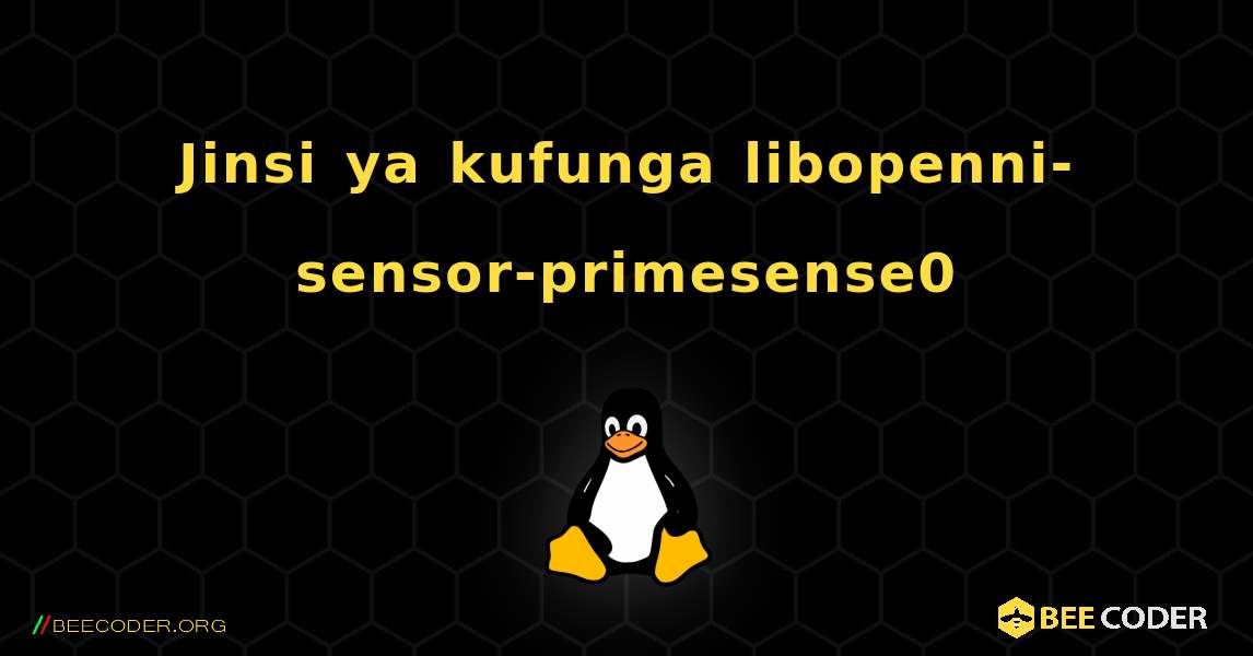 Jinsi ya kufunga libopenni-sensor-primesense0 . Linux