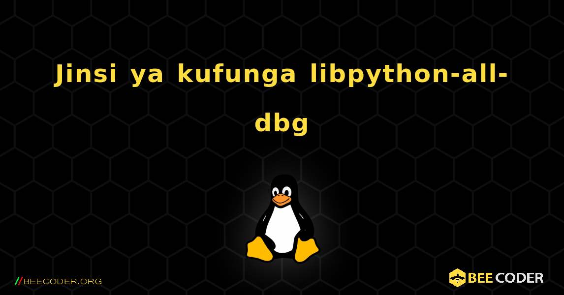 Jinsi ya kufunga libpython-all-dbg . Linux